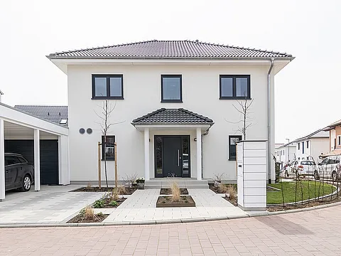 Elegante Haustür mit zwei Seitenteilen