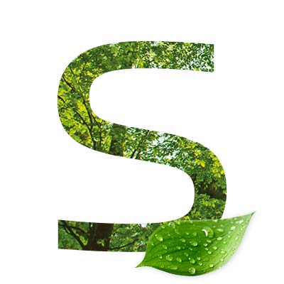 Nachhaltigkeit Buchstabe S mit Waldmotiv und Blatt als grafisches Gestaltungselement